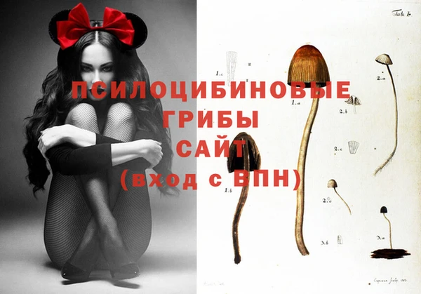 PSILOCYBIN Абинск