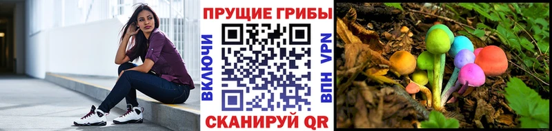 Галлюциногенные грибы ЛСД  Цоци-Юрт 