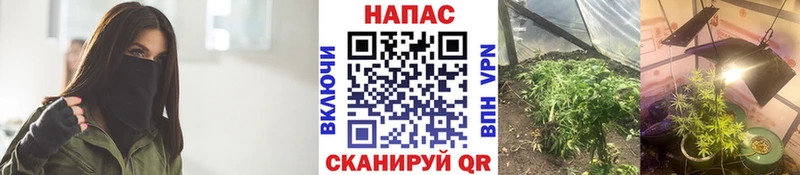 гидра рабочий сайт  Цоци-Юрт  Конопля марихуана 